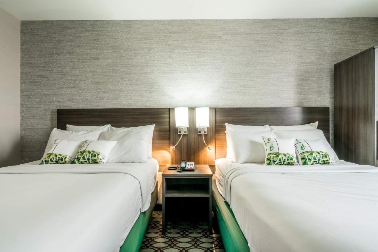 Letap Hotel Near Airtrain Jfk Airport New York Exteriör bild